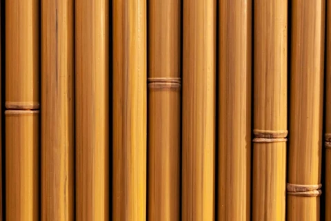 Bamboo Fence Panels