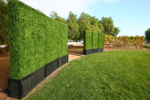 Wall Hedge Panel Year-Round Greenery Mount Druitt NSW